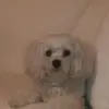 Jenny Oakley - @user10007872 - TikTok