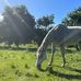 Jenny Oakley - Facebook