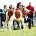 Jenny O'Connell - Facebook
