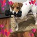 Jenny O'Connell - Facebook