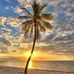 Jenny Oconnell - Facebook