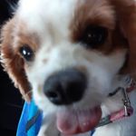Jenny Orton - @jenniferorton662 - Instagram