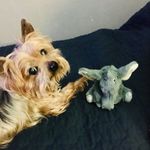 Jennifer Overman Law - @overmanwade - Instagram