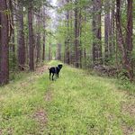 Jennifer Overman Weinfeld - @jenweinfeld - Instagram