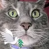 Jennifer Pabst - @jennifer.pabst5 - TikTok