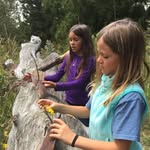 Jenny Padgett - @magnoliaandjunehomeschool - Instagram