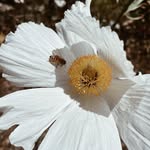 Jenny Padgett - @jennyjopadgett - Instagram