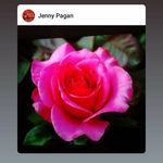 Jenny Pagan - @jennypagan82 - Instagram