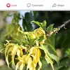 jennypagan979 - @jennypagan979 - TikTok