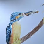 Artist - @painter_jenny_ - Instagram