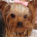 Jenny Powell Pair - Facebook
