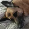 Jenny Parada - @jenny.parada1 - TikTok