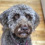 Jenny Pascal - @sofie_pascal - Instagram