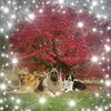 Jennifer Patten Osgo - @jenniferpattenosgood - TikTok