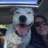 Jennifer Pease643 - @jenniferpease643 - TikTok