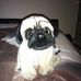 Jenny Pease - Facebook