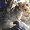 Jenny Peel - @jenny.peel0 - TikTok