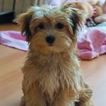 Jenny Pendee - @jenny_pender - Instagram