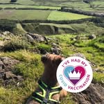 Jenny Pennington - @jennypennington14 - Instagram