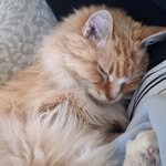 Jenny Pepper - @jenny.pepper.507 - Instagram