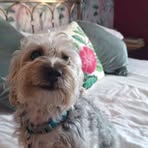 Jenny Randall - Facebook