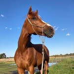 Jenny Read - @jennyread2007 - Instagram