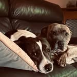 Jenny Read - @jennyread4747 - Instagram