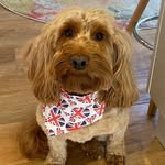Jenny Read - @dogmodelling - Instagram