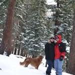 Jenny Rees - @rjsntrees - Instagram