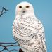 Jenny Reline - Facebook