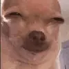jennyre_ - @jennyre_ - TikTok