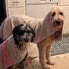 Ruffin inn with Grandma jenny - @grandmajennyat_ruffininn - TikTok