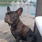 Jenny Ruppricht - @rupprichtjenny - Instagram