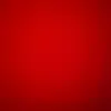 Jenny Schaefer - @jennyschaefer5 - TikTok