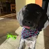 jennyschaeferbu15 - @jennyschaeferbu15 - TikTok