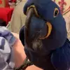 Jennifer Seay595 - @jenniferseay595 - TikTok
