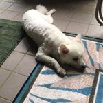 Jenny Seay - @badest_grandma - Instagram