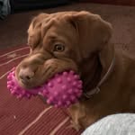 Jenny Shaffer - @bendiboopsie - Instagram