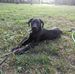 Jenny Siler - Facebook