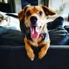 Jenny Singleton Van Sloten - @jenny.singleton.v - TikTok