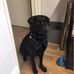 Jenny Squire - Facebook