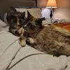 Jennifer Squires Yanish - @jennifer.squires1 - TikTok