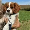jenny_squires1988 - @jenny_squires1988 - TikTok
