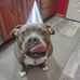 Jenn Stauffer Holchin - Facebook