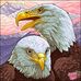 Jenny Steinmann Pascha - Facebook