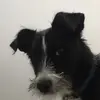 Jenny_Stiles301245 - @jenny_stiles301245 - TikTok
