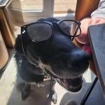 Jenny Stiles - @jen.e.stiles - Instagram