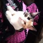 Jenny stiles - @stiles8699 - Instagram