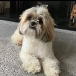 Jenny Stiles - @stiles6100 - Instagram