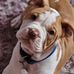 Jenny Stroud - Facebook
